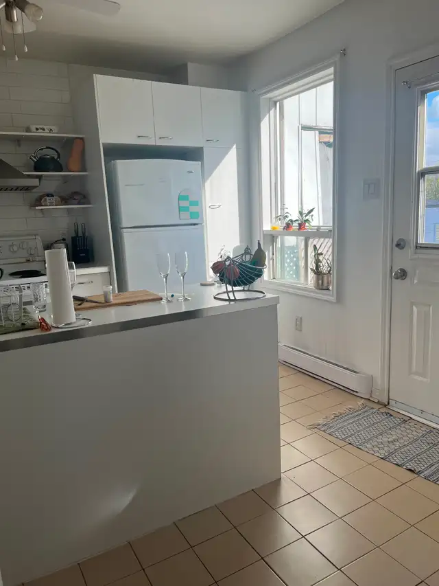 B2 – Beautiful Apartment – Near Downtown Montreal in Long Term Rentals in City of Montréal - Image 4