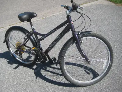 FS: Schwinn Frisco with added front basket and kick stand +, View more