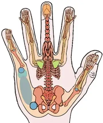 RMT Massage & Acupuncture &Osteopathy(all licensed) in Massage Services in Oakville / Halton Region - Image 8