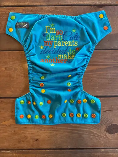 Pregnancy Announcement Cloth Diaper, View more