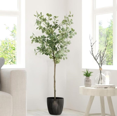 Hosting an event? Rent Our 6FT Artificial Eucalyptus Tree for Wedding & Party Decor! We also offer s...