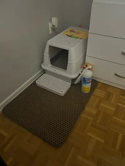 comes with scoop, extra bags and mat
