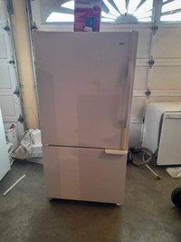 Kenmore fridge/bottom freezer 