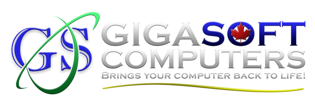  Gigasoft Computers – Expert Tech Support & Services64840203142275121