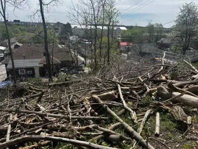 Free firewood logs and camp fire branches, View more