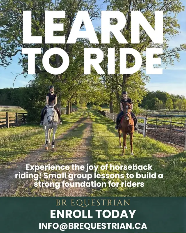 Learn to ride horses! 476835697730539520