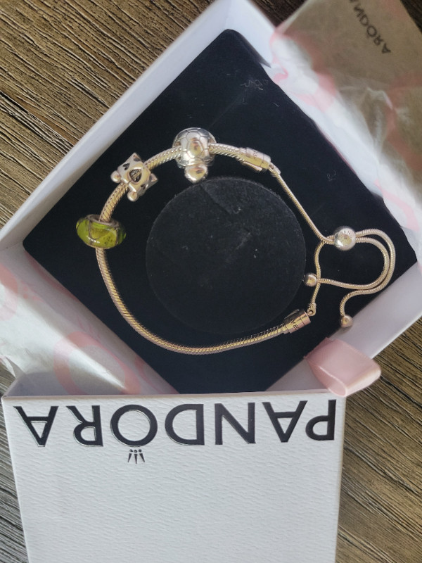 Brand New Pandora Bracelet + 3 charms in Jewellery & Watches in Cambridge - Image 2