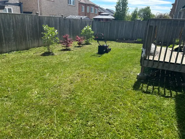 same day lawn service !  in Lawn, Tree Maintenance & Eavestrough in City of Toronto - Image 10