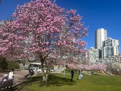 Babysitting, View more