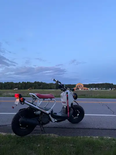 Honda ruckus remis à neuf Nouveau moteur (3000km fait avec le nouveau) nouveau pneu, etc… Quelques m...