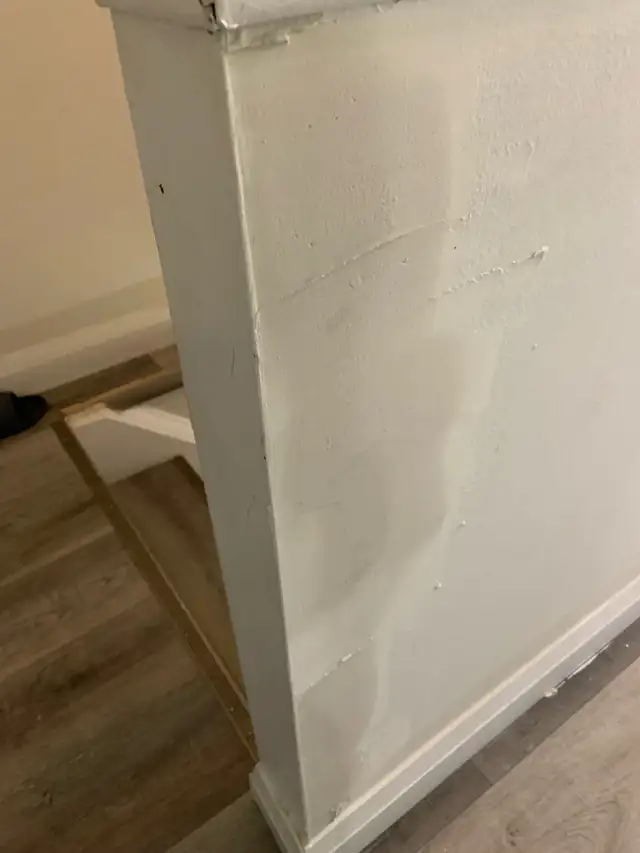 painter with 20 years ,65561336904962124
