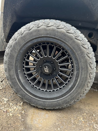 Rims and Tires 
