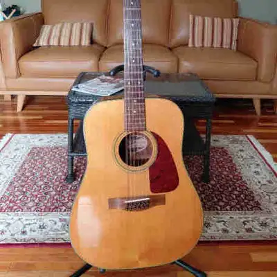 Description Fender F-310-12 Solid Top New Strings- set up, tuned and ready to play. Excellent condit...
