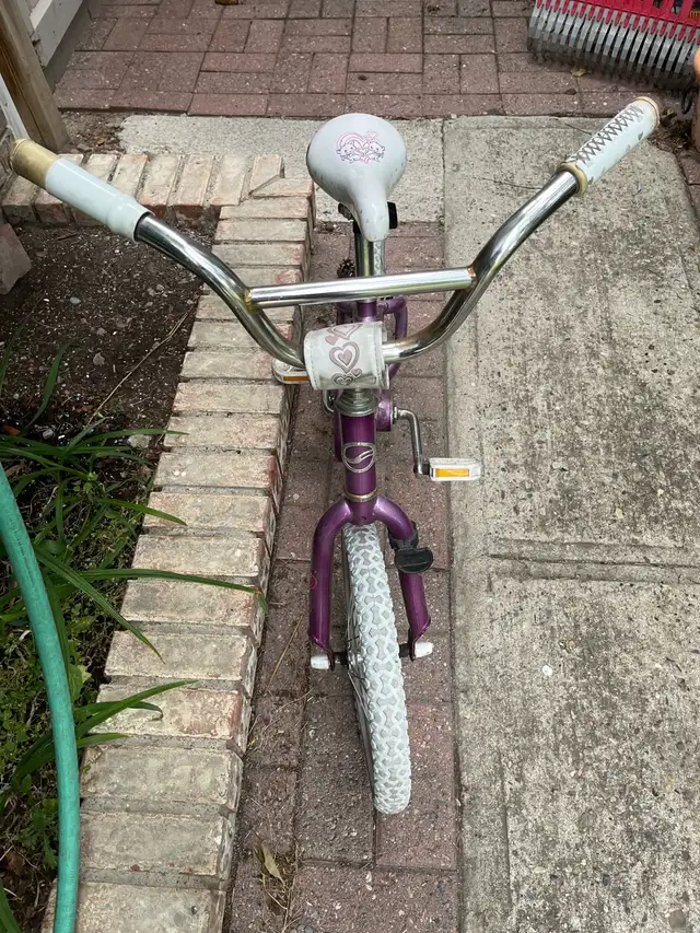 Purple Kids Bike