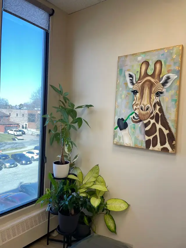 Teeth Cleaning 64728277222145123