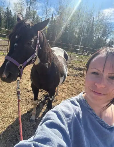 senior APHA mare, View more