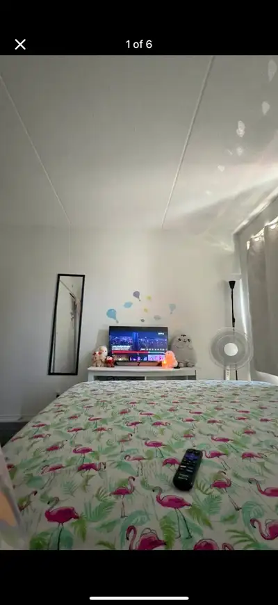 Room Available for Rent - Girls Only (Sharing Basis) Spacious and well-ventilated room available for...