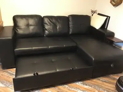 Pleather couch makes into bed with storage, used maybe 6 times.