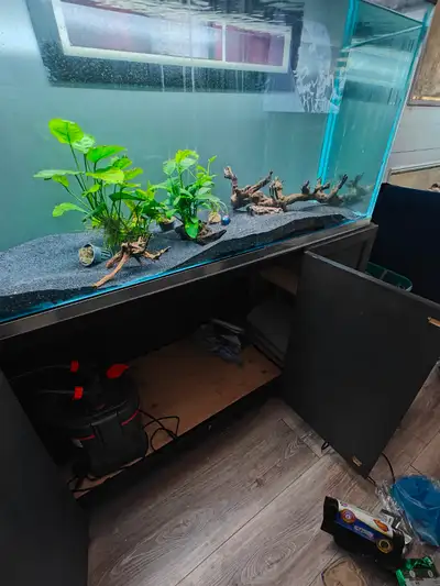 100 Gallon fish tank - tank/stand/light/canopy/heater/wave maker/black sand/two large wood pieces/tw...