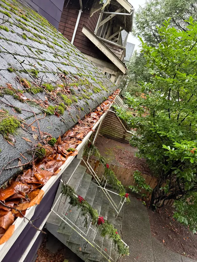 Gutter Cleaning(Vancouver,Burnaby,Surrey,Coquitlam)