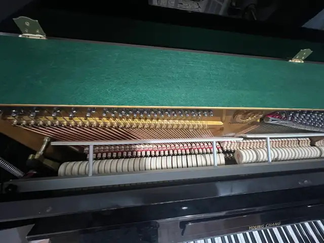 48” Professional Upright Piano – Young Chang – Original Owner in Pianos & Keyboards in City of Toronto - Image 6