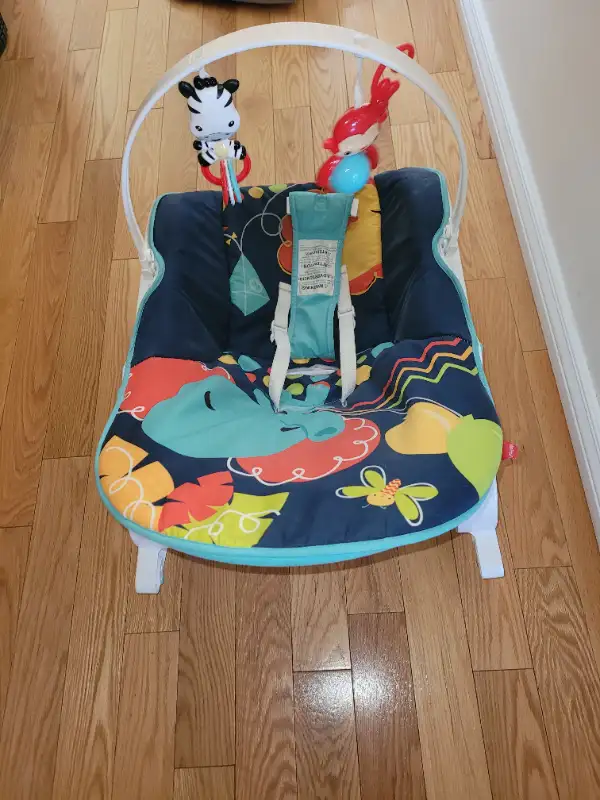 Fisher Price Deluxe Infant to Toddler Rocker, Baby rocker in Playpens, Swings & Saucers in Markham / York Region - Image 5