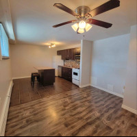 Newly renovated one bed one bath basement apartment