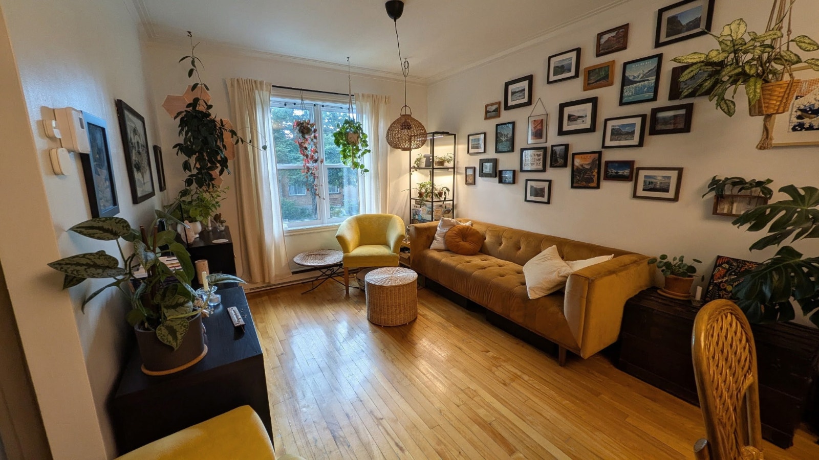 5 1/2 dans Rosemont Petite-Patrie — photo 1