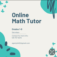 Tutor for math and language 