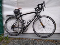FUJI Gran Fondo 2.3, 100% Carbon Fiber Road Bike