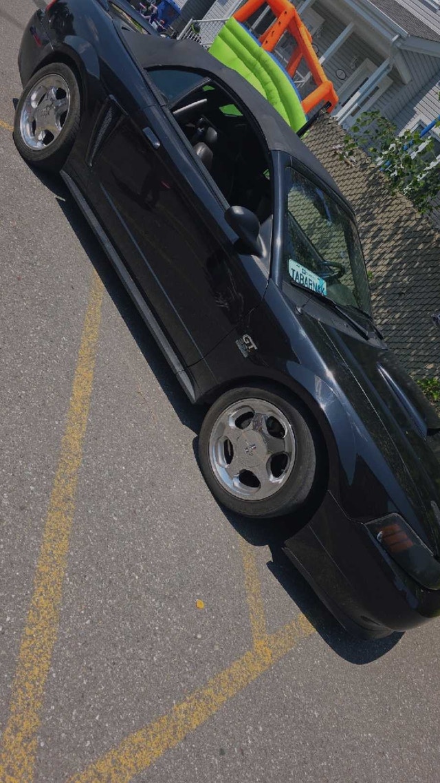 Mustang gt 2000 — photo 2