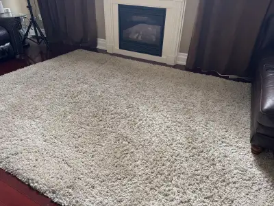 Large Used Area Rug 10 ft x 12.5 ft – Pickup from Ajax, View more