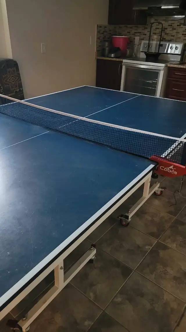 Ping Pong Table in Toys & Games in Mississauga / Peel Region - Image 3