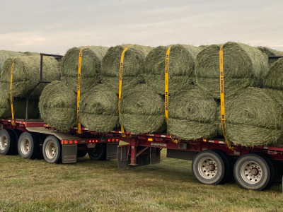 2023 Alfalfa Round Bales ($280 ton Delivered Price)