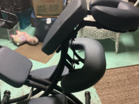 Portal Pro 3 Massage Chair by Oakworks