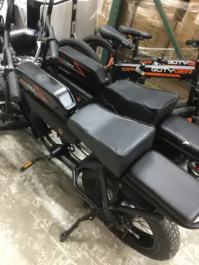 Earthride 2 Seat Fat Tire E bike spring sale, View more