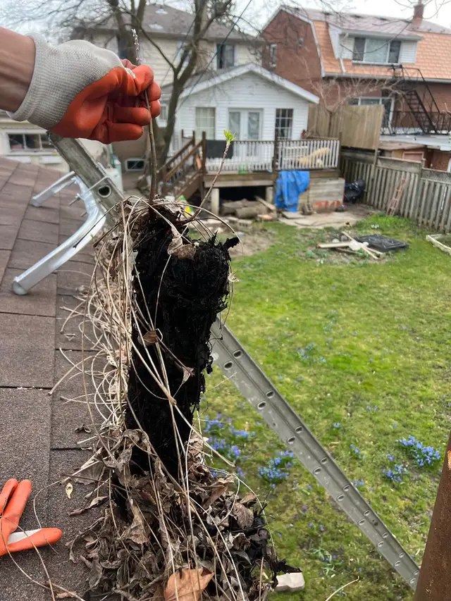 $200 Eavestrough & Leaf Removal Special!63860080396929124