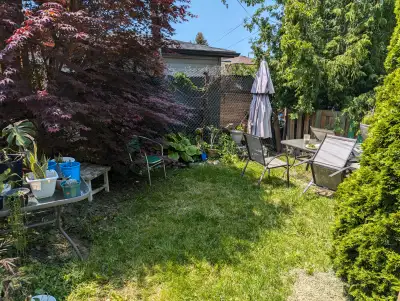 Sublet from August to February, 1 bedroom,1283 monthly