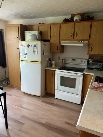 Appartement 4 1/2 DROIT AU CHIEN