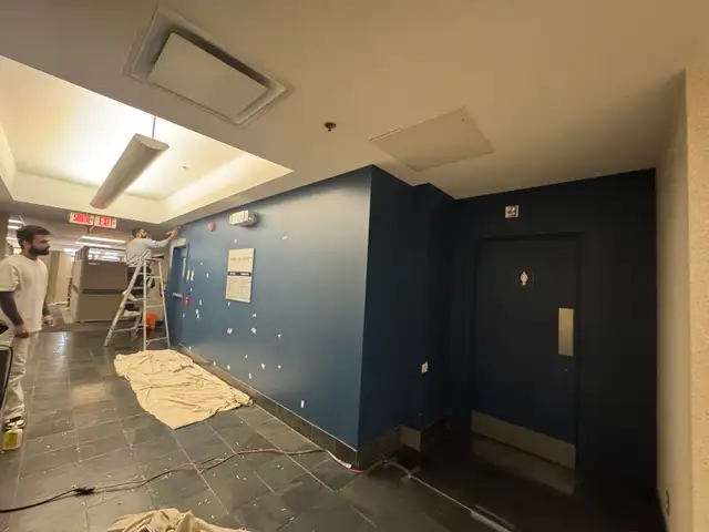 Painter + Paint 492697930559006728
