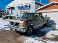 1989 ford f-150