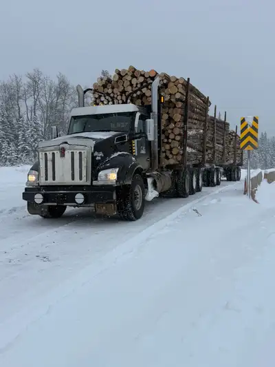 Log truck driver to start June 8 Must have log truck experience Clean abstract Send resume to craig@...