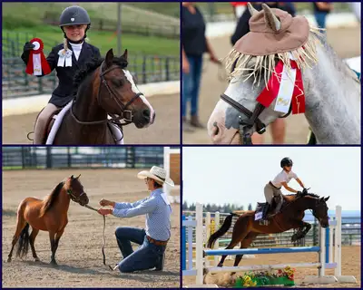 2026 Western Canadian Pony Classic, View more
