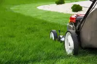 Lawn mowing services 