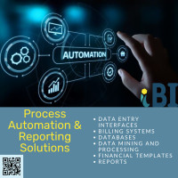 Process Automation & Reporting Solutions