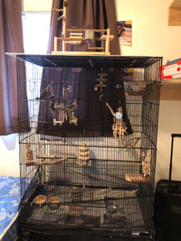 Big bird cage for many Types of bird