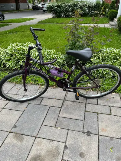 Triumph 10 speed mountain bike, View more