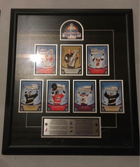 Pepsi/Lays Stanley Cup Champions Promotional Framed Picture