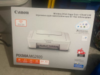 NEW Canon Pixma MG2920 Printer