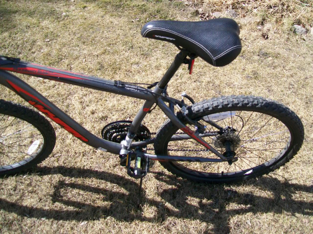 Boys 24 Inch Mountain Bike 18 speed in Kids in Strathcona County - Image 4